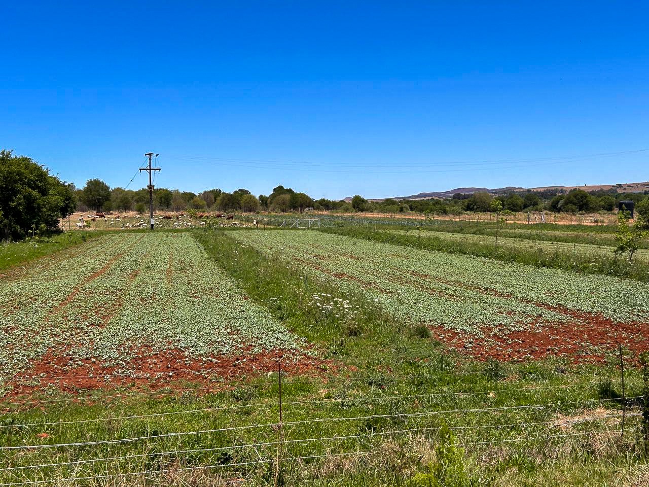 3 Bedroom Property for Sale in Potchefstroom Rural North West